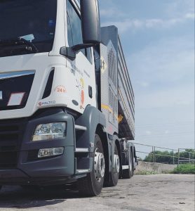 Camion 4 assi